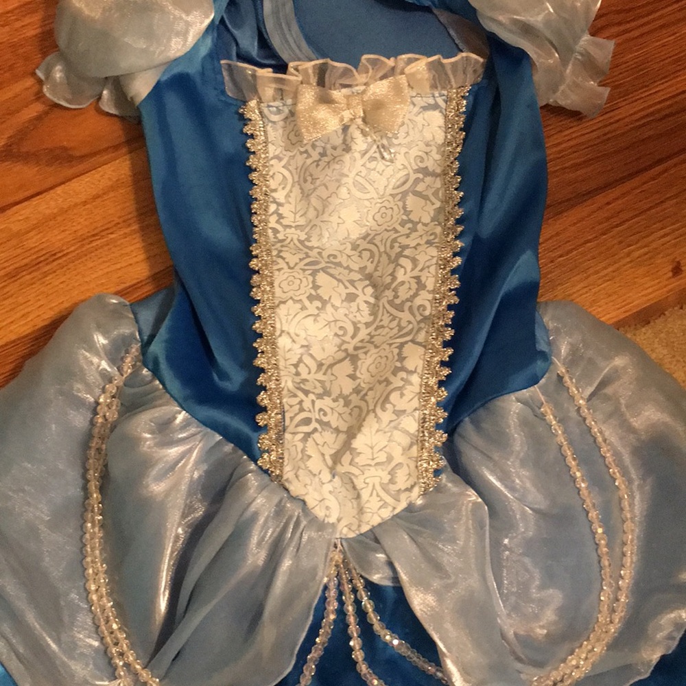 Cinderella Adult